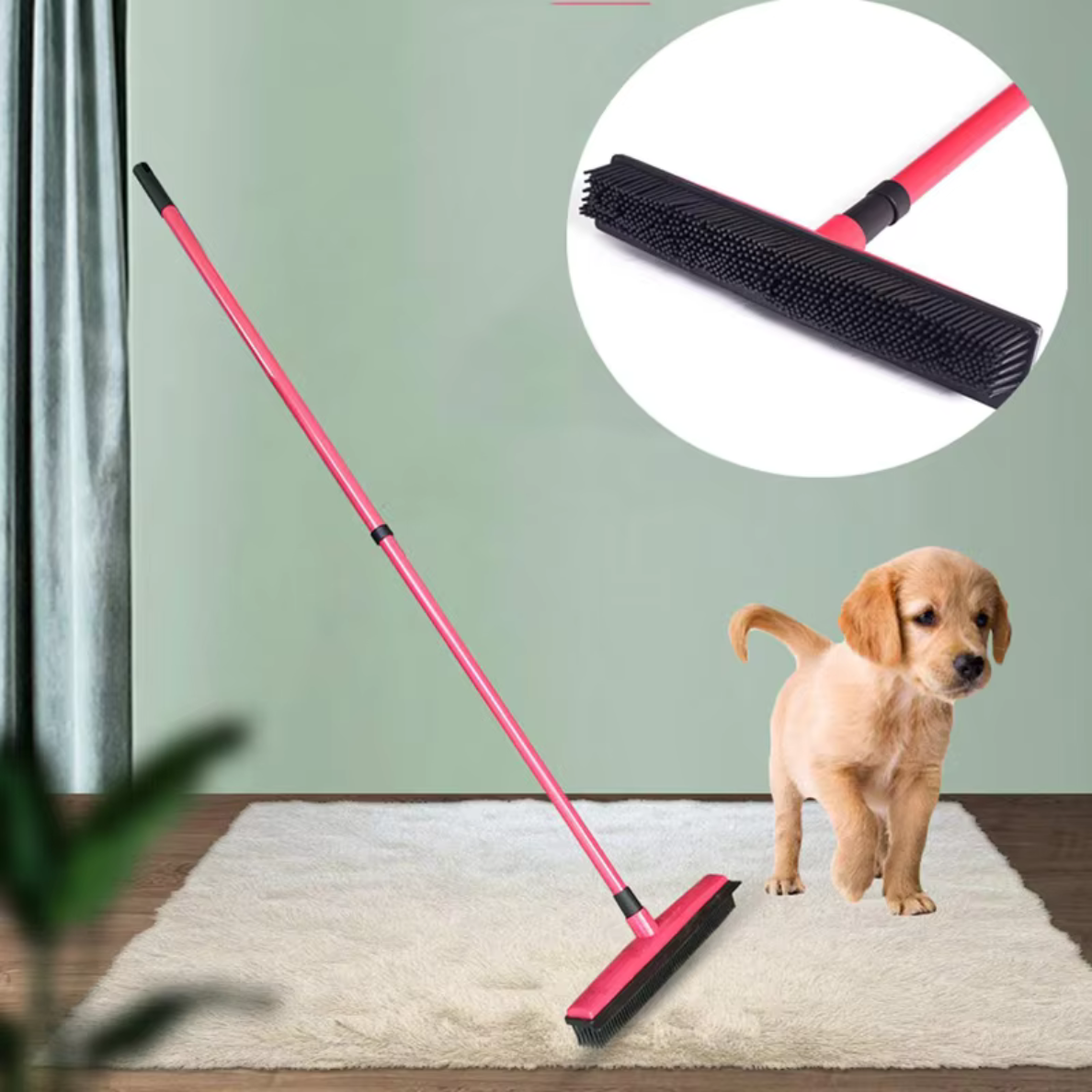 Pet Hair Removal Broom